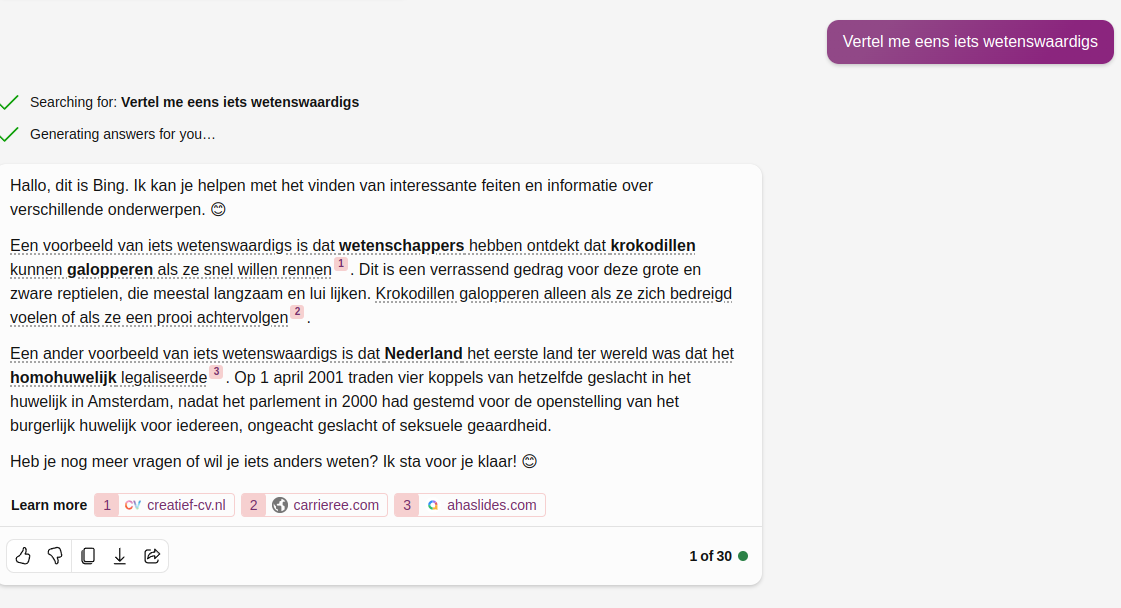 Copilot - Schermprint